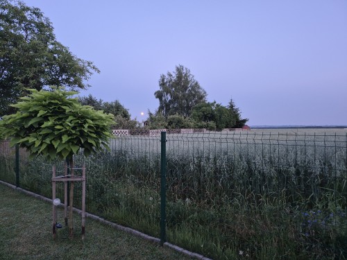 20260628_212749.jpg