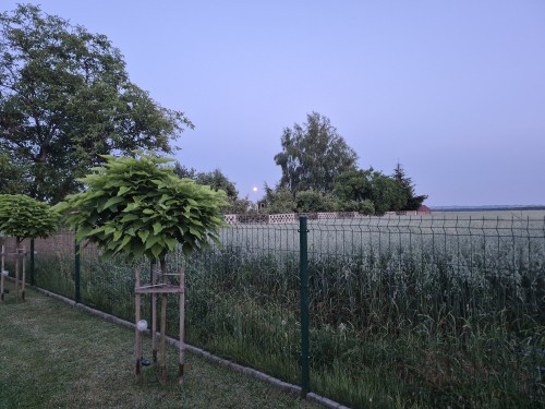 20260628_212823.jpg