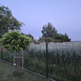 20260628_212823