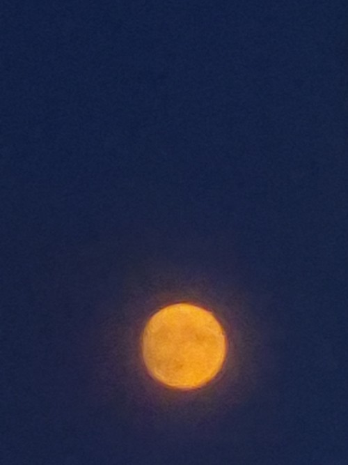 20260628_213746.jpg