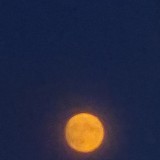 20260628_213746