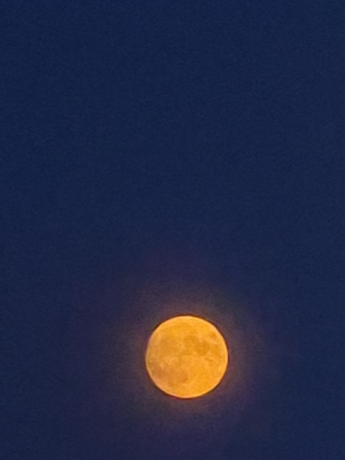 20260628_213750.jpg
