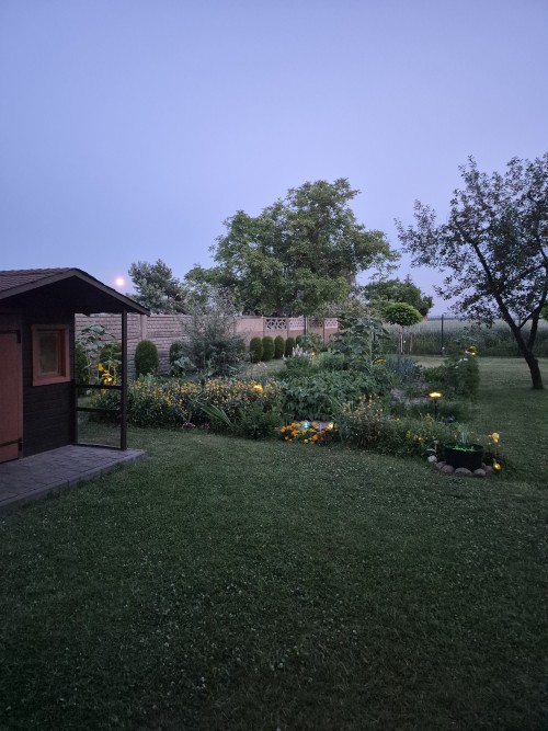 20260628_2139060.jpg