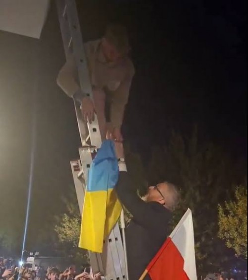 233434.jpg