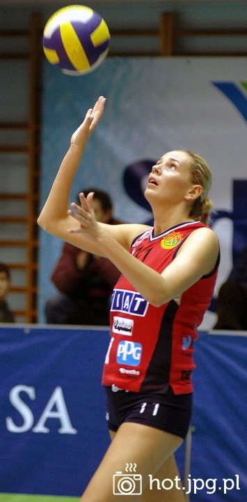 291116677f.jpg