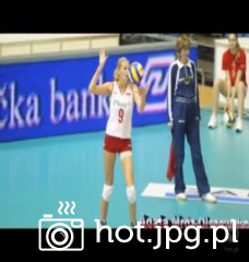 291169abca.jpg