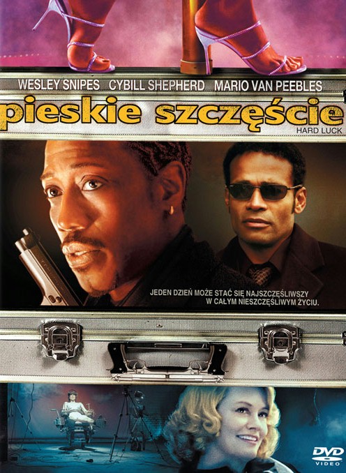 291pieskeiszczescie.jpg