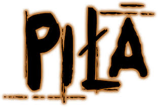 4443d177e.jpg