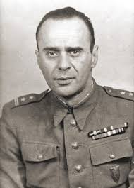4554578.jpg