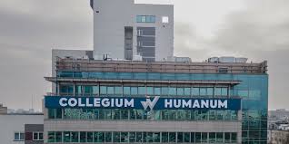54545.jpg