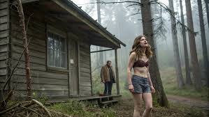 Acouplegoestoahouseinthewoodsfortheirhoneymoonbuthorrorawaitsthem..jpg