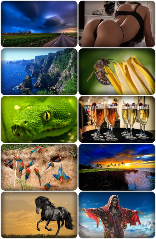 Beautiful Mixed Wallpapers Pack 1164