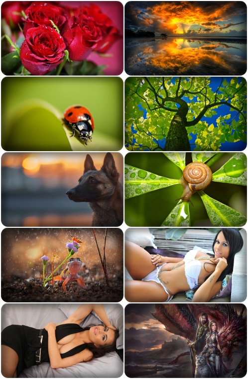 Beautiful Mixed Wallpapers Pack 1171