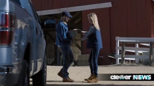 BudweiserClydesdalePuppyLoveSuperBowl2014Commercial.jpg
