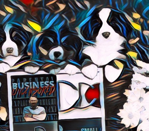 BusinessUncensoredSmallBusinessChroniclespodcastguesttrainerRichardBlankCostaRicasCallCenterd9a2d.jpg