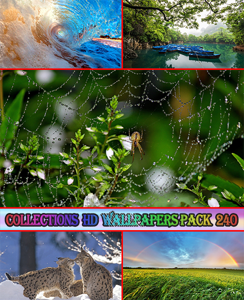 Collections HD Wallpapers Pack 240