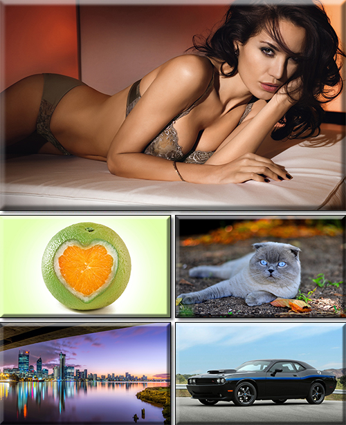 Computer Desktop Wallpapers Collection. Part 3743