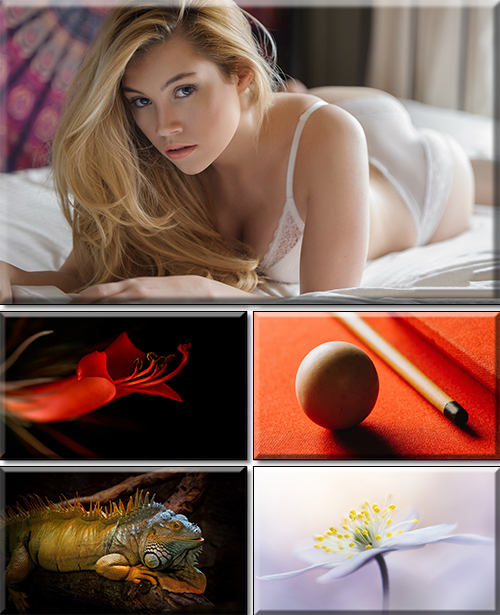 Computer Desktop Wallpapers Collection. Part 3745