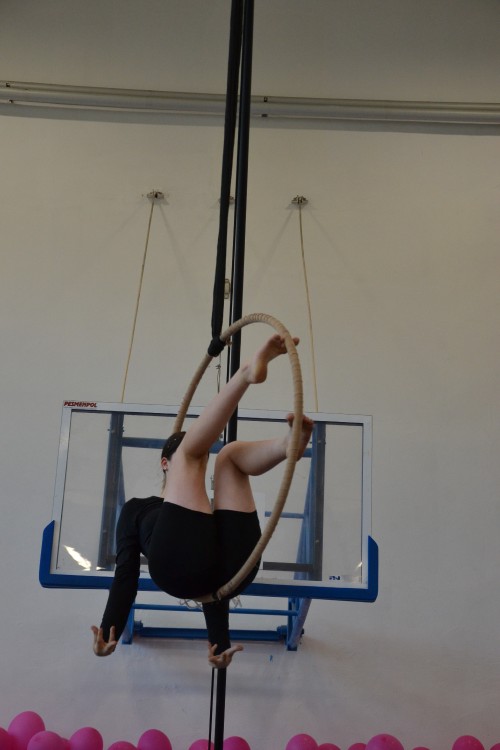 DSC_0130.jpg