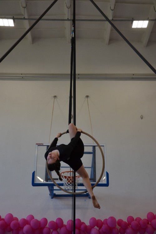 DSC_0174.jpg