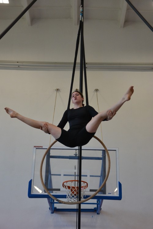 DSC_0202.jpg