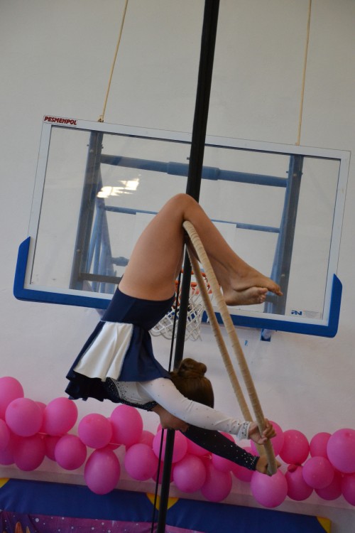 DSC_0366.jpg