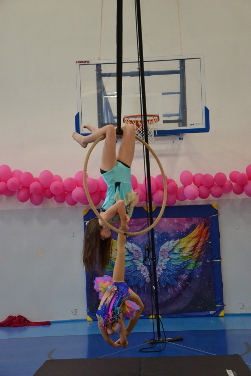 DSC_0782.jpg