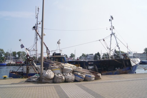 FO8B931.jpg