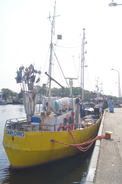 FOC0741.jpg