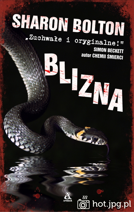 blizna.jpg