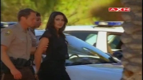 csimiami.jpg