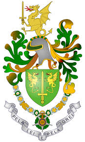 cvvv9cc25.jpg