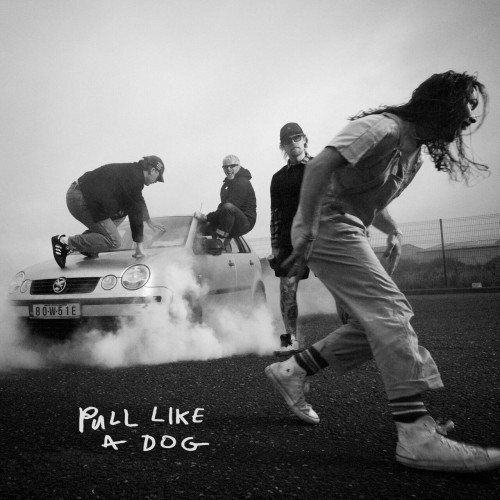 dog.jpg