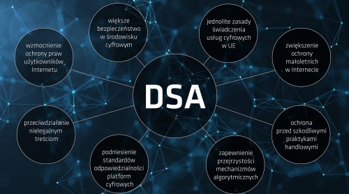 dsa_infografika_dsa_cele.jpg
