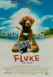 fluke.jpg