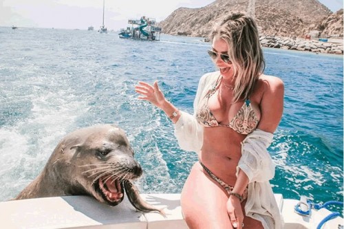 holiday-photos-that-make-you-smile_16.jpg