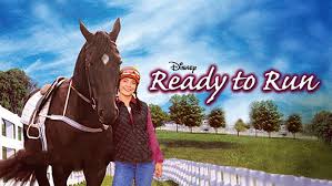 horseseanse.jpg