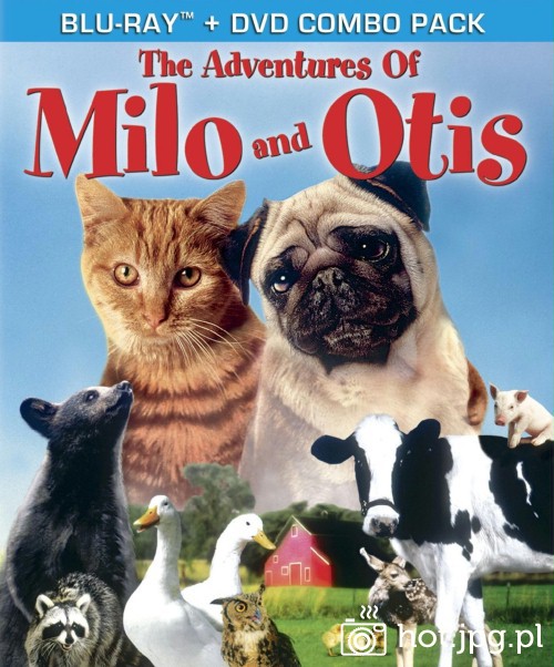 miloiotis.jpg