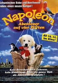 napoleon2.jpg