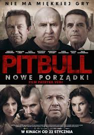 pitbull2.jpg