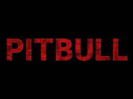pitbull5546f.jpg