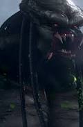 predator5.jpg