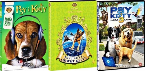 psy-koty-1-3-3-dvd-pelne-kalisz-556765584.jpg