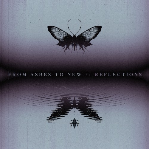 reflections.jpg