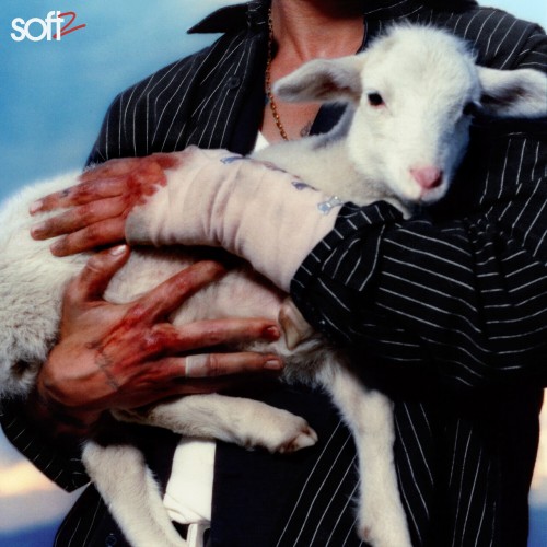 soft2.jpg