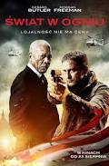 swiat-w-ogniu-freeman-robin.jpg