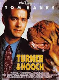 turnerihooch.jpg
