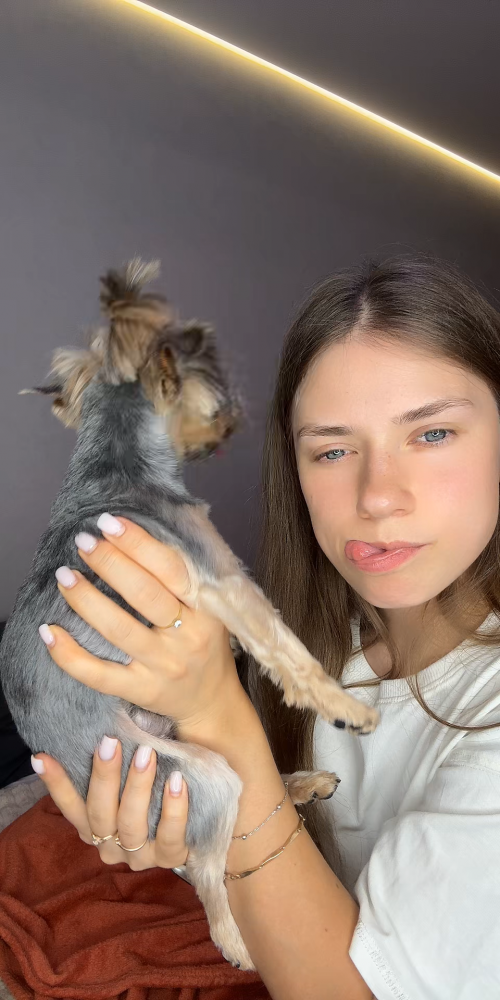 videoframe_2190515.png
