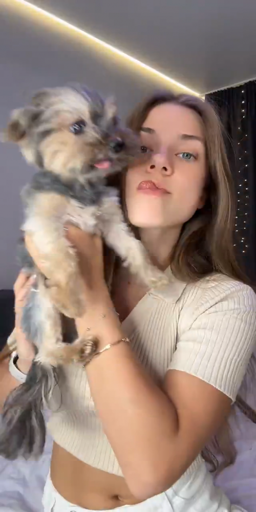 videoframe_2282638.png