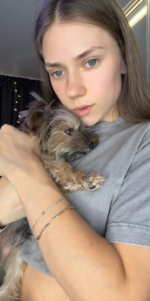 videoframe_232575.png